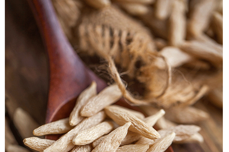 152645392158330460.gif 非野生麦冬_12.gif