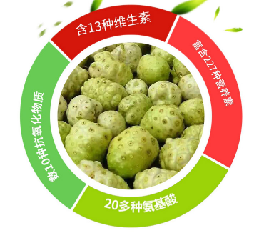 盘点诺丽果的作用 详细了解诺丽果有哪些作用