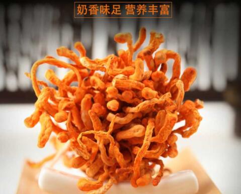 北虫草的功效与作用及禁忌 揭晓北虫草的功效