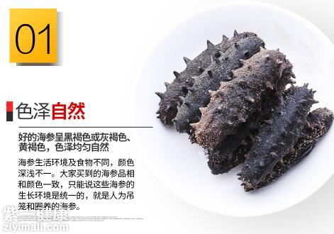 野生干海参多少钱一斤 野生干海参价格以及真